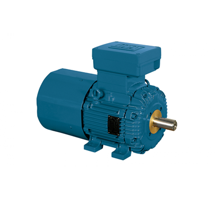 W21系列制动电机