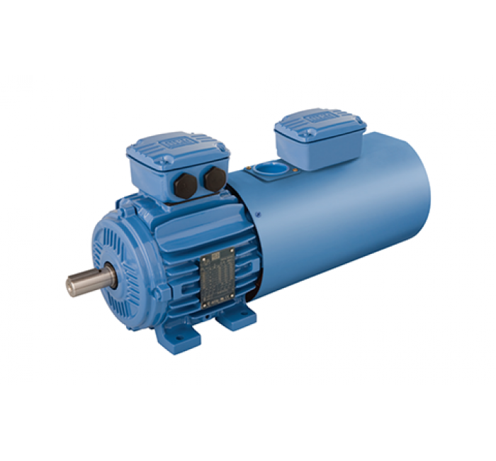 W21系列变频电机